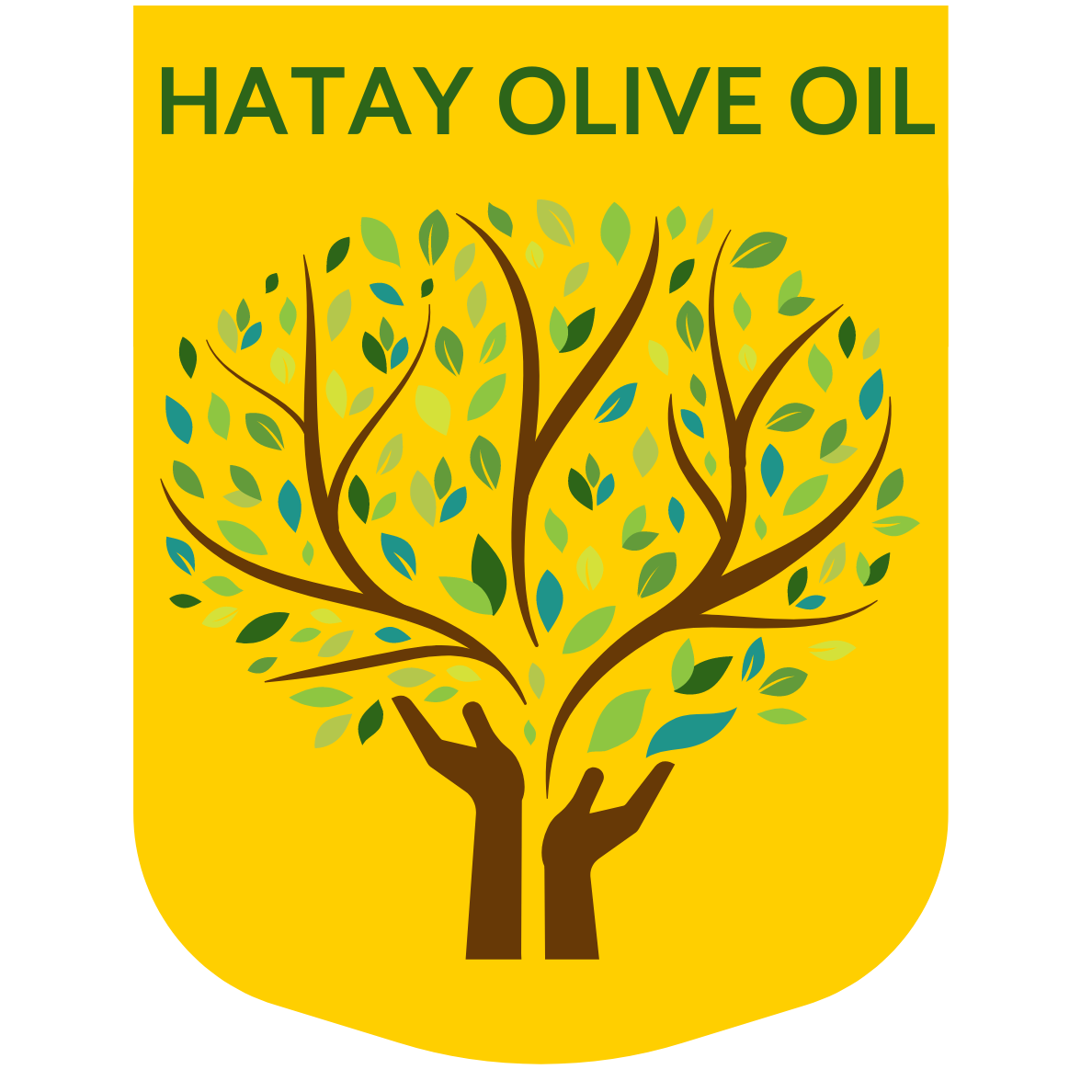 Copy-of-Hatay-Olive-Oil5